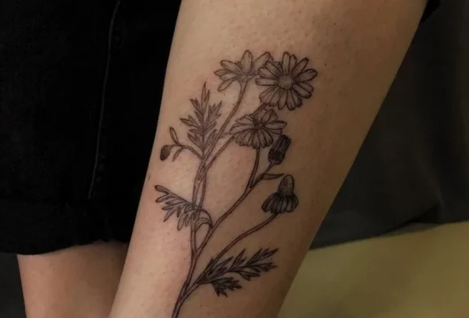 annva tattoo studio фото 6 - tattooo.ru