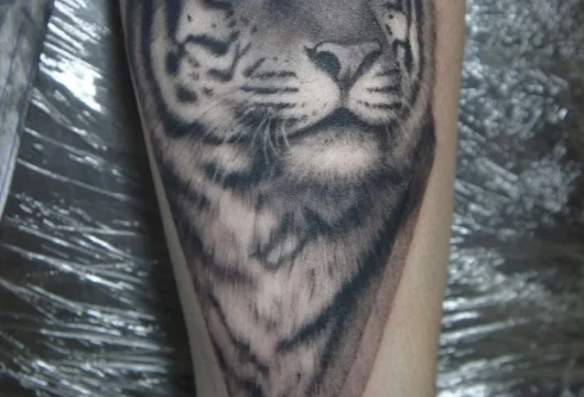 тату-салон это тут бьют фото 10 - tattooo.ru